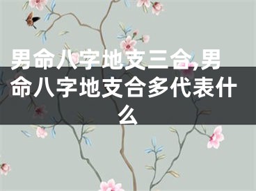 男命八字地支三合,男命八字地支合多代表什么