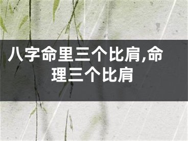 八字命里三个比肩,命理三个比肩