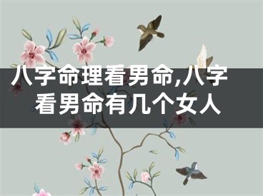 八字命理看男命,八字看男命有几个女人