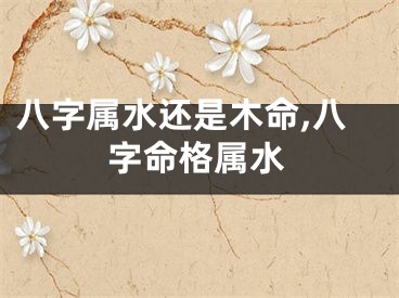 八字属水还是木命,八字命格属水
