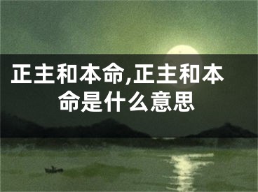 正主和本命,正主和本命是什么意思