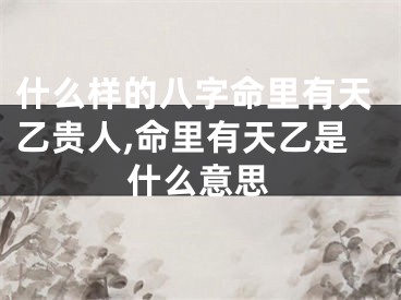 什么样的八字命里有天乙贵人,命里有天乙是什么意思