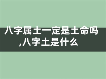 八字属土一定是土命吗,八字土是什么