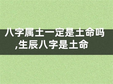 八字属土一定是土命吗,生辰八字是土命