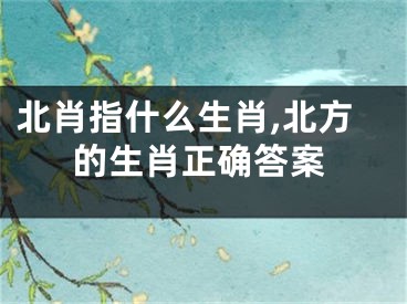 北肖指什么生肖,北方的生肖正确答案