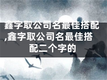 鑫字取公司名最佳搭配,鑫字取公司名最佳搭配二个字的