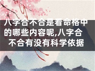 八字合不合是看命格中的哪些内容呢,八字合不合有没有科学依据