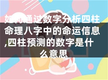 如何通过数字分析四柱命理八字中的命运信息,四柱预测的数字是什么意思