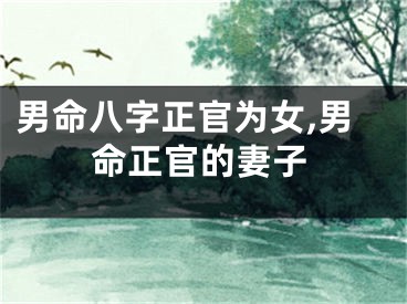 男命八字正官为女,男命正官的妻子