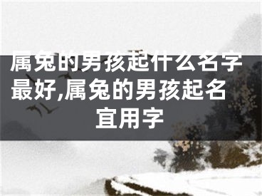 属兔的男孩起什么名字最好,属兔的男孩起名宜用字