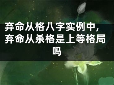 弃命从格八字实例中,弃命从杀格是上等格局吗