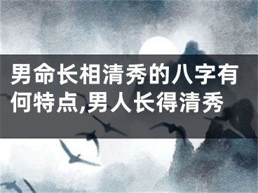 男命长相清秀的八字有何特点,男人长得清秀
