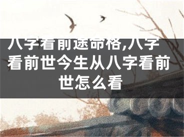八字看前途命格,八字看前世今生从八字看前世怎么看