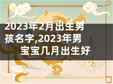 2023年2月出生男孩名字,2023年男宝宝几月出生好