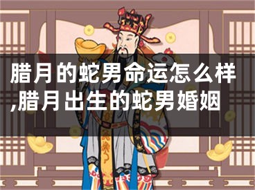 腊月的蛇男命运怎么样,腊月出生的蛇男婚姻