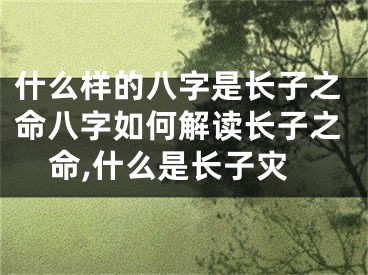 什么样的八字是长子之命八字如何解读长子之命,什么是长子灾