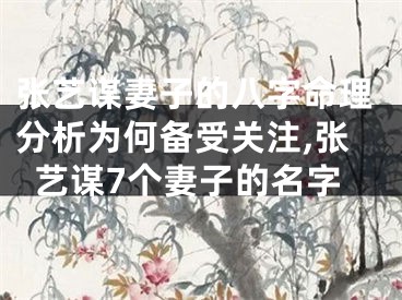 张艺谋妻子的八字命理分析为何备受关注,张艺谋7个妻子的名字