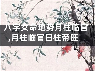八字女命地势月柱临官,月柱临官日柱帝旺
