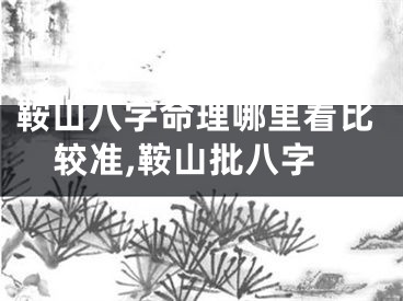 鞍山八字命理哪里看比较准,鞍山批八字