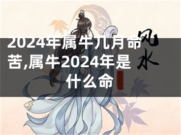 2024年属牛几月命苦,属牛2024年是什么命