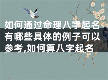 如何通过命理八字起名有哪些具体的例子可以参考,如何算八字起名