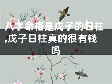 八字命格是戊子的日柱,戊子日柱真的很有钱吗