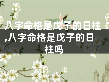 八字命格是戊子的日柱,八字命格是戊子的日柱吗