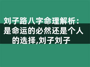 刘子路八字命理解析：是命运的必然还是个人的选择,刘子刘子