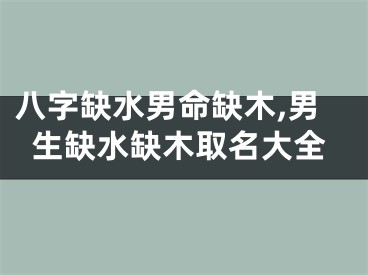 八字缺水男命缺木,男生缺水缺木取名大全