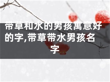 带草和水的男孩寓意好的字,带草带水男孩名字