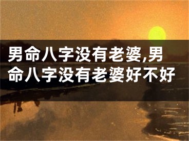 男命八字没有老婆,男命八字没有老婆好不好