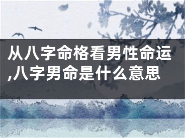从八字命格看男性命运,八字男命是什么意思