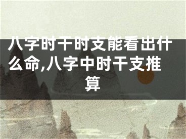 八字时干时支能看出什么命,八字中时干支推算