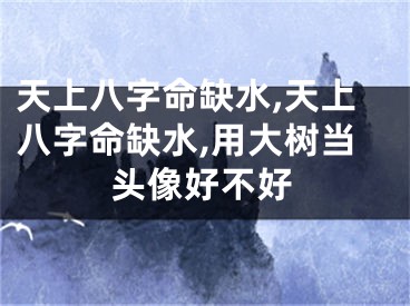 天上八字命缺水,天上八字命缺水,用大树当头像好不好