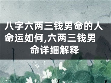 八字六两三钱男命的人命运如何,六两三钱男命详细解释