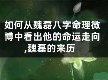 如何从魏磊八字命理微博中看出他的命运走向,魏磊的来历