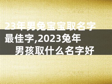 23年男兔宝宝取名字最佳字,2023兔年男孩取什么名字好
