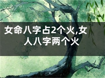 女命八字占2个火,女人八字两个火