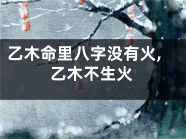 乙木命里八字没有火,乙木不生火