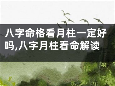 八字命格看月柱一定好吗,八字月柱看命解读