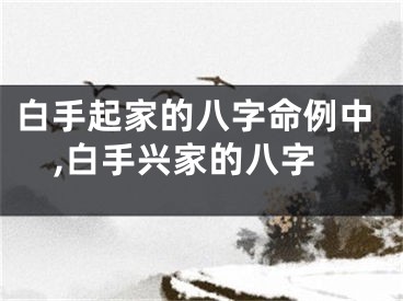 白手起家的八字命例中,白手兴家的八字