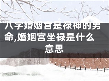 八字婚姻宫是禄神的男命,婚姻宫坐禄是什么意思