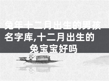 兔年十二月出生的男孩名字库,十二月出生的兔宝宝好吗