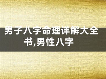 男子八字命理详解大全书,男性八字