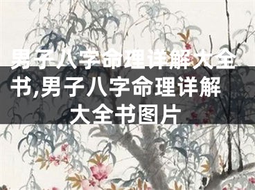 男子八字命理详解大全书,男子八字命理详解大全书图片