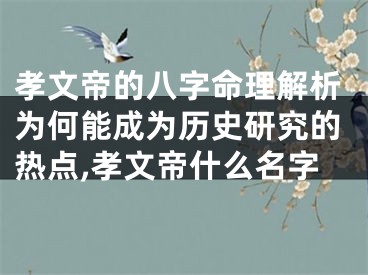 孝文帝的八字命理解析为何能成为历史研究的热点,孝文帝什么名字