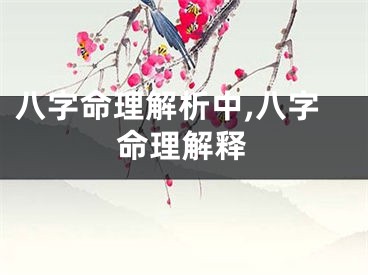八字命理解析中,八字命理解释