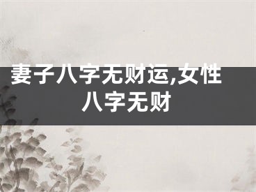 妻子八字无财运,女性八字无财