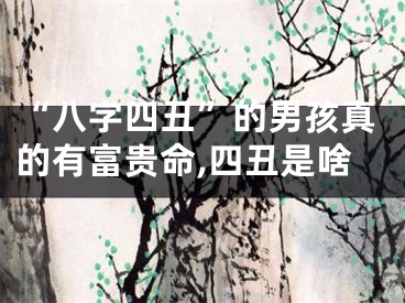 “八字四丑”的男孩真的有富贵命,四丑是啥
