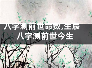 八字测前世命数,生辰八字测前世今生